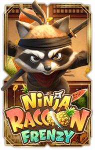 Ninja Raccoon Frenzy