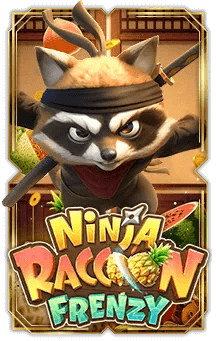 Ninja Raccoon Frenzy