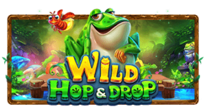 Wild Hop&Drop