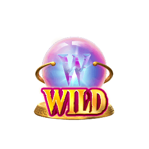 Wild Symbol