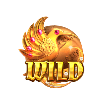 Wild Symbol