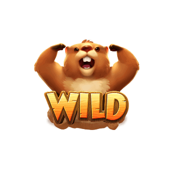 Wild Symbol