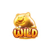 Wild Symbol