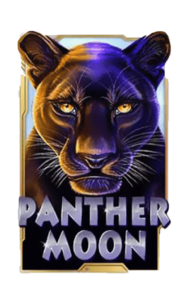 Panther Moon