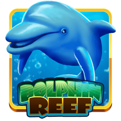 Dolphin Reef