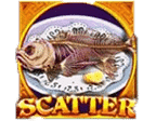 Scatter