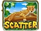 Scatter