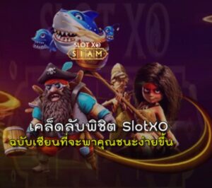 พิชิตslotxo-สล็อต