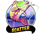 Scatter