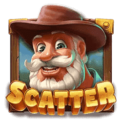 Scatter