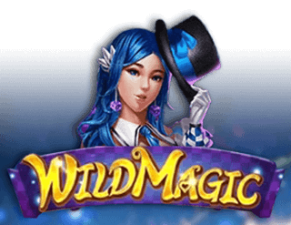 รีวิวเกม Wild Magic