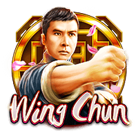 รีวิวเกม Wing Chun