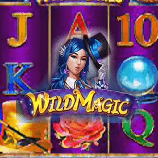 รีวิวเกม Wild Magic