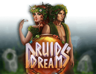รีวิวเกม Druids Dream 49 Druids Dream
